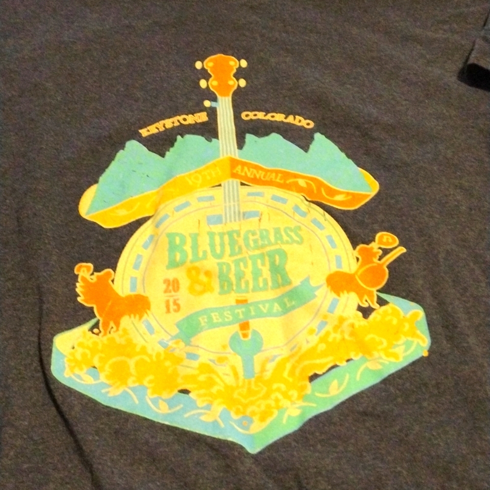 *3/$20 Bundle Deal* Vintage 2015 Bluegrass band Beer Festival T-shirt Large